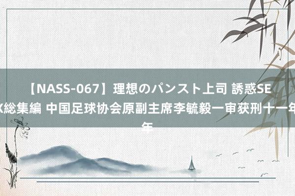 【NASS-067】理想のパンスト上司 誘惑SEX総集編 中国足球协会原副主席李毓毅一审获刑十一年