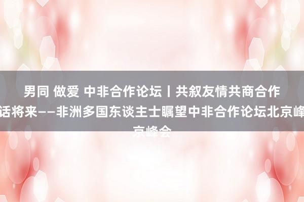 男同 做爱 中非合作论坛丨共叙友情　共商合作　共话将来——非洲多国东谈主士瞩望中非合作论坛北京峰会