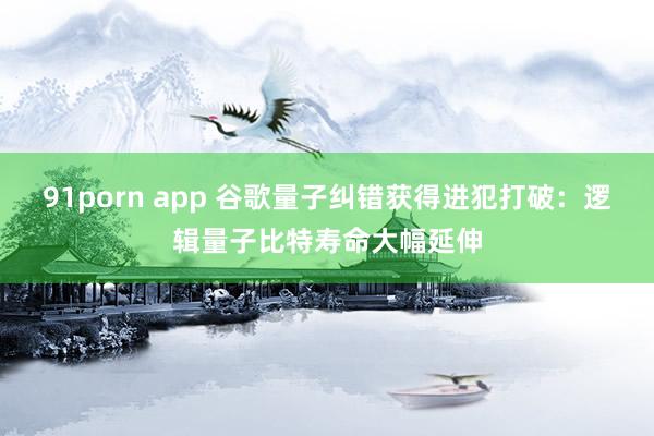 91porn app 谷歌量子纠错获得进犯打破：逻辑量子比特寿命大幅延伸